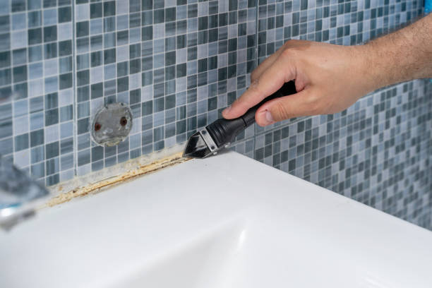 Best Mold Cleaning Services  in Elysburg, PA